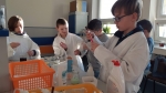 Dtsk technick univerzita na gymnziu v Klatovech (22. 1. 2020)