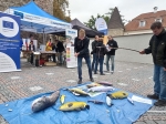 EUROPE DIRECT KLATOVY - fotoreport z nedlnho programu Mme oteveno! (19. 9. 2021)