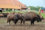 Exkurze stedn Morava
