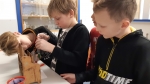Dtsk technick univerzita - Barevn chemie
