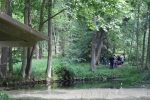 Divok� bylinky