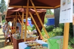 Slavnosti slunovratu v Chotov (15. 6. 2019)